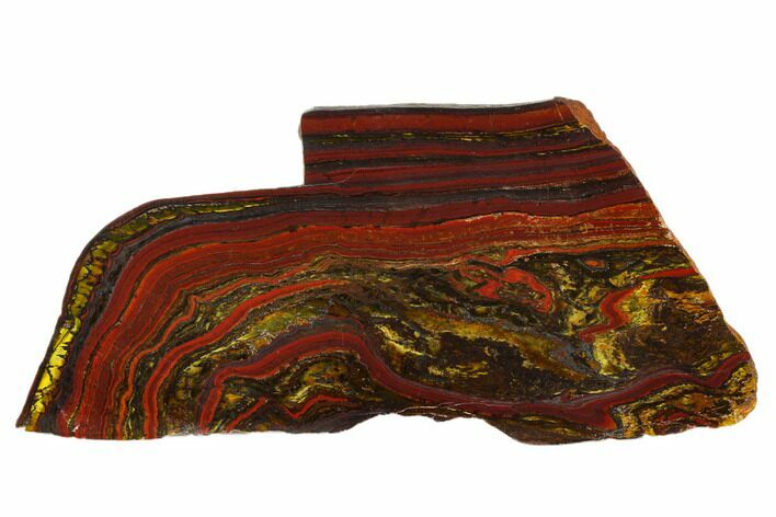 Polished Tiger Iron Stromatolite - Billion Years #129213